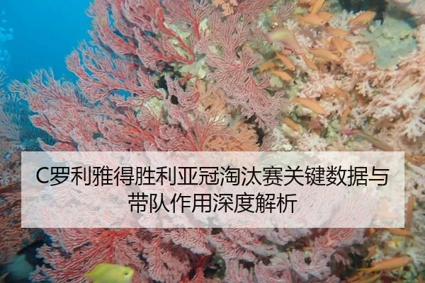 C罗利雅得胜利亚冠淘汰赛关键数据与带队作用深度解析